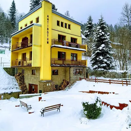 Privatunterkunft Willa Antidotum