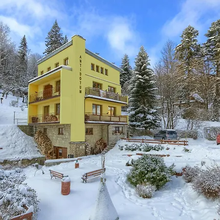 בית אירוח Antidotum קריניצה זדרוי