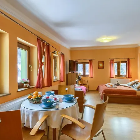 Privatunterkunft Willa Antidotum Krynica-Zdrój