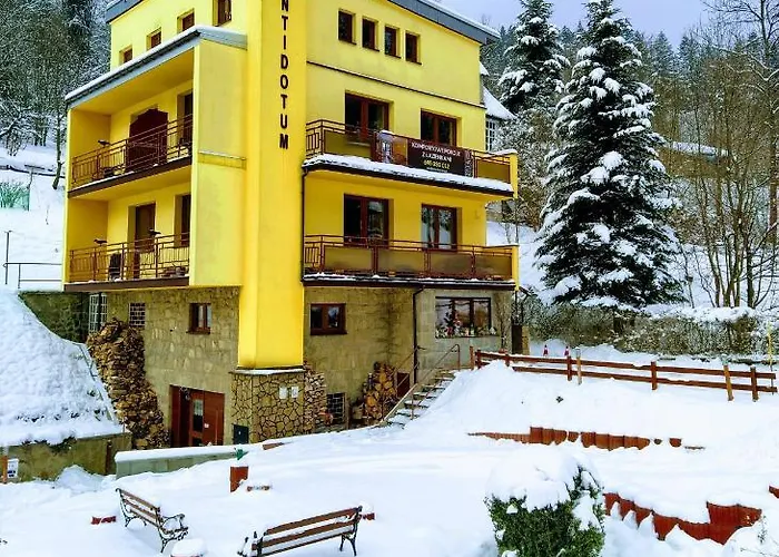 בית אירוח Antidotum